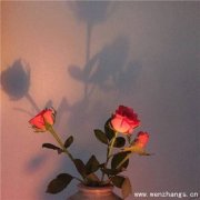 һһ,䲻