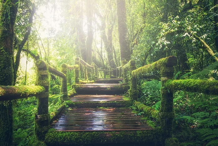 优美散文:秋天的早晨 趁着秋天的早晨在眼前
