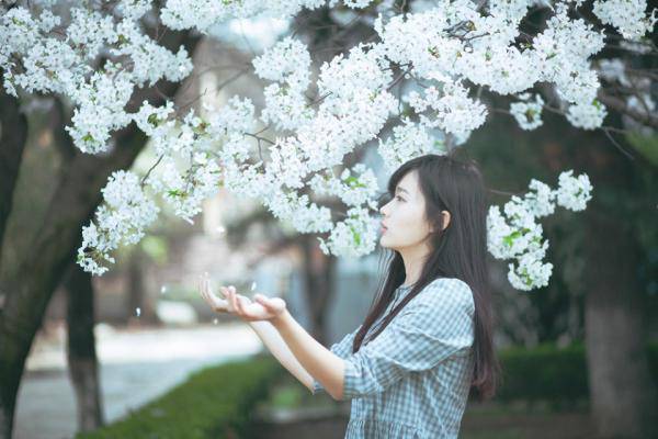 雨泻繁花,风一般吹落满地